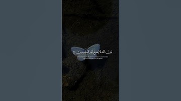 إِنَّهُۥ مَن يَتَّقِ وَيَصۡبِرۡ | سورة يوسف | محمد صديق المنشاوي