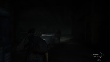 The Last of Us Part II Remastered The Tunnels Part 2