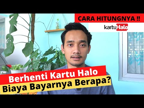 Video: Berapa kerapkah halo berlaku?