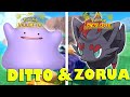 COME TROVARE DITTO & ZORUA su POKEMON scarlatto e violetto