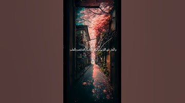 دقيقة من القرآن الكريم بصوت الشيخ ماهر المعيقلي سورة النساء #قرآن #religion #قرآن_كريم #قران