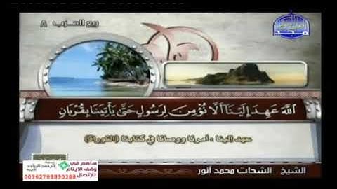 ما تيسر من سورة آل عمران الشحات محمد أنور