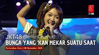 Jkt48  Bunga Yang kan Mekar Suatu Saat  Pertaruhan Cinta 08 November 2025