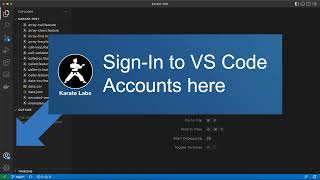Karate Pro - Visual Studio Code - How to Sign In screenshot 5