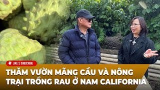 Việt Bao La: Thăm vườn mãng cầu và nông trại trồng rau ở Nam California