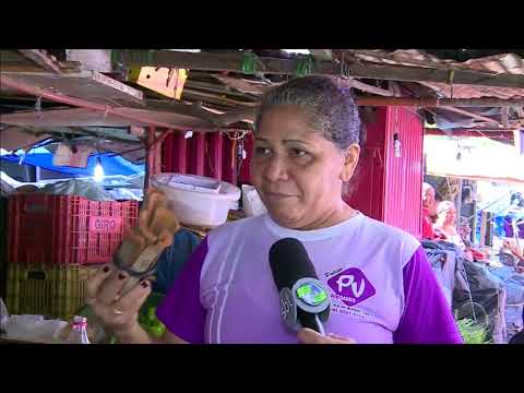 Vídeo: Sintomas ligados à raiz - Ajuda para plantas ligadas à raiz