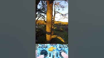 Tree dive! Almost went on on with the ground when my thumb slipped 😅 #fpv #drone