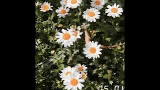 Your eyes - 비비(BB)(Audio)
