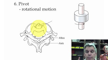 Types of Joints, Movement, & Fractures