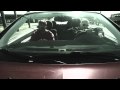 Marco Polo Ruste Juxx Rearview Music Video mp3