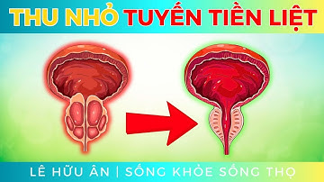 6 Dưỡng Chất giúp THU NHỎ Tuyến Tiền Liệt PHÌ ĐẠI | Lê Hữu Ân