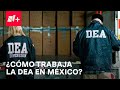 CJNG y el Cártel de Sinaloa, objetivos de la DEA en México - Despierta