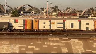 Los Angeles graffiti from Amtrak Pacific Surfliner #graffiti #art #mural #trains