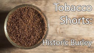 Tobacco Shorts: Snuff #008 - Historic Burley