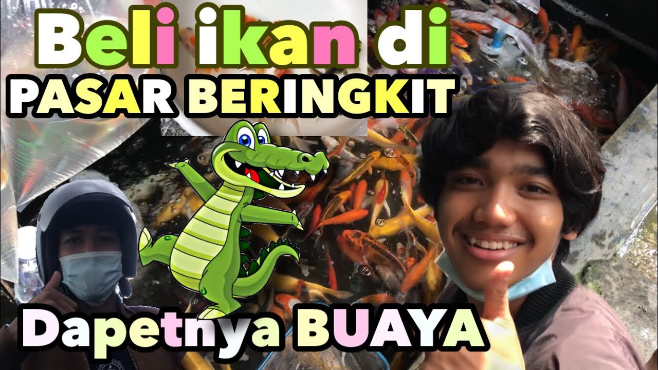BELI IKAN DI PASAR BERINGKIT enjoyyy
