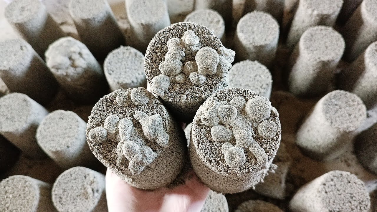 👉 New After A Long Time ClayPot Crumbling Old Concrete Stones Glasses Dusty Crispy🤤 