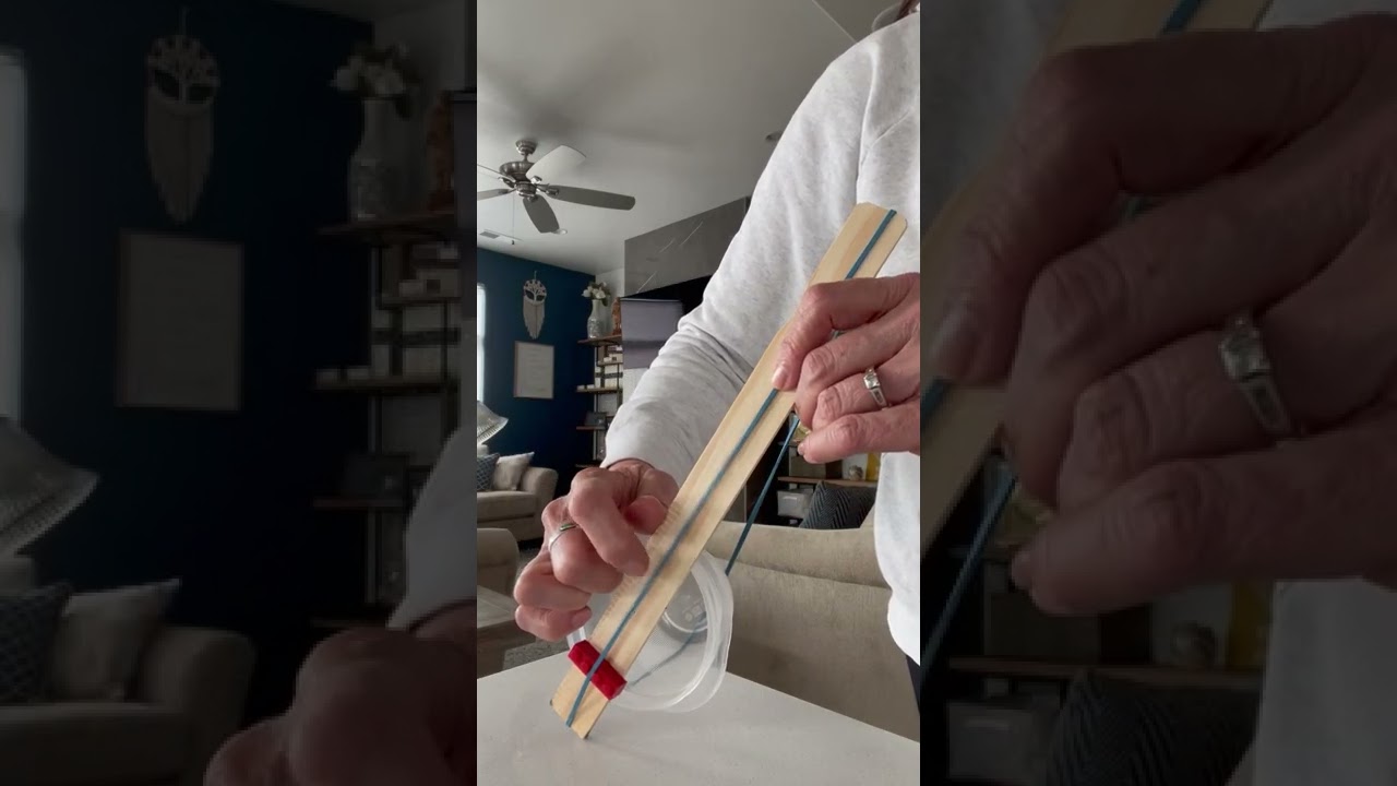 Chordophone - Found Items