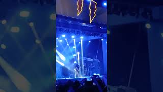 RAIMUNDOS NO ROCK FESTIVAL NOVA IGUAÇU 2025.1 #raimundos #rock #rockfestivalnovaiguacu2025