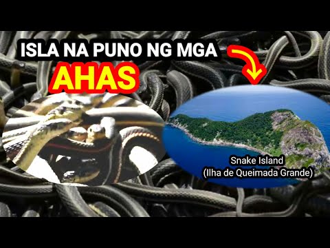 ISLA NG MGA