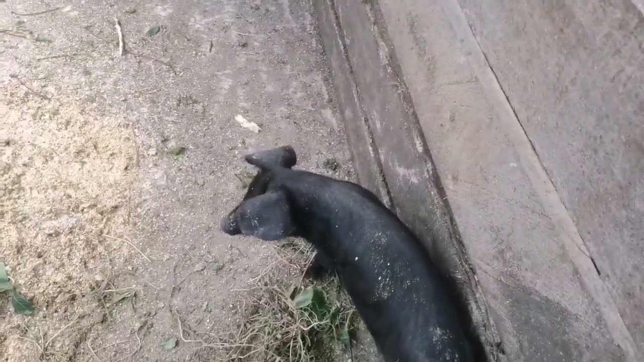 Maior Fatura Neste sítio 