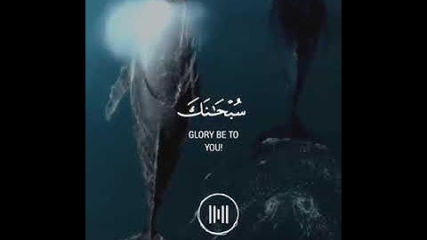 حالات واتس اب دينيه بصوت القارئ أسلام صبحي | سورة الأنبياء