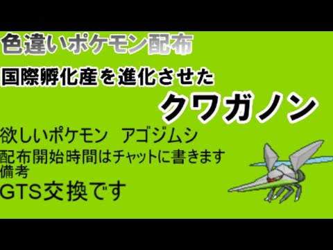 ポケモンusum 毎日色違いポケモン配布 11 4 クワガノン Youtube