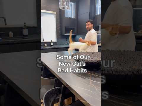 She’s in trouble now! 😅