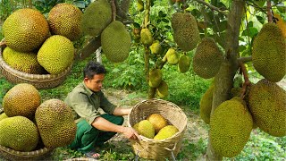 FULL VIDEO: 160 Days of Gardening. Harvesting Litchi, Jackfruit, Beans,Corn Go to the market to sell