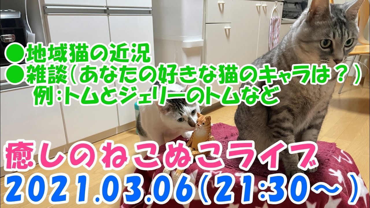 癒しの猫ちゃんねる ねこぬこにゃんこ２nd Youtube Channel Analytics And Report Powered By Noxinfluencer Mobile