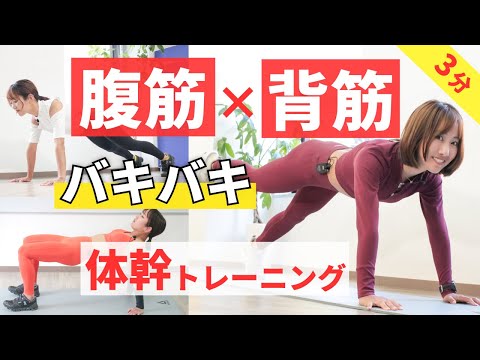 [4 Types of Planks] 3 minutes to get your abs and back muscles rock hard. Core training also reco...