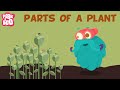 Essential Parts of Plants and Their Functions