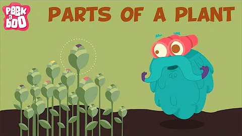 Parts Of A Plant | The Dr. Binocs Show | Learn Videos For Kids - DayDayNews