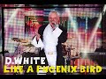 D.White - Like A Phoenix Bird (Concert Video). NEW Italo Disco, Euro disco, Super music of 80-90s