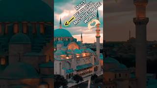 BLUE MOSQUE ISTANBUL ❤️🫶🏻.      #beautiful #islam
