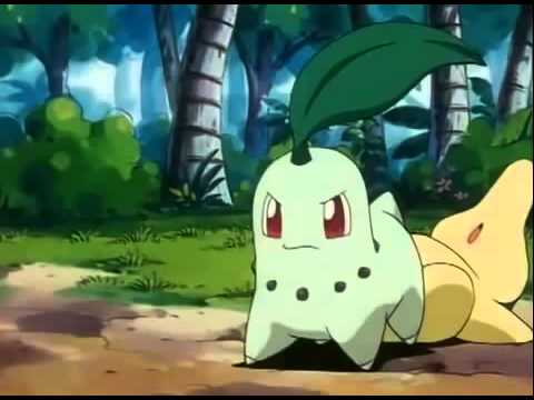 Video: Pok Mon Go Rohuüritus - Bulbasaur, Chikorita, Muu Rohi Pok Mon Ja Kõik Muu, Mida Peate Teadma Nädalavahetuse üritusest