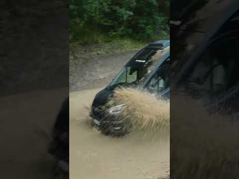 Muddy and RAW - SUNLIGHT CLIFF 4x4
