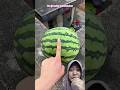 pecah semua‼️ Lucky-watermelon #dubbing #funny #shorts