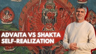 Advaita Vs Shakta Self-Realization | Āchārya Dr. Sthaneshwar Timalsina