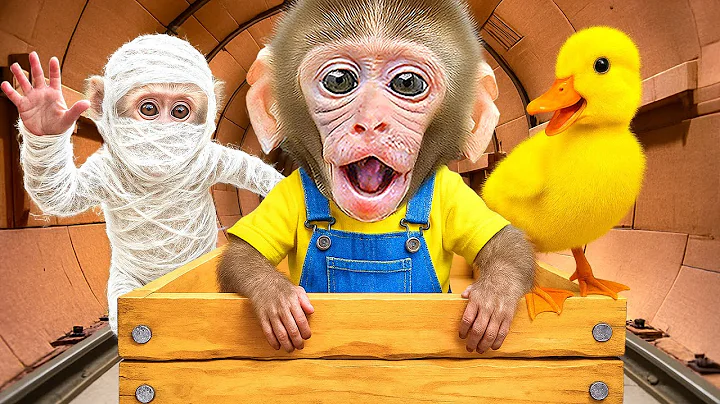 KIKI Monkey with His Duck Friend in CRAZY Maze Challenge + More Funny Challenges | KUDO ANIMAL KIKI
