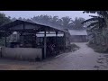 Real Heavy Rain on Cottage - Relaxing Rain for Sleeping