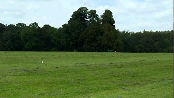 RC Heli Master simulator