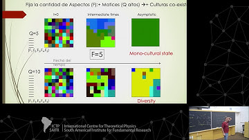 Multi-agent models in complex networks (3 o 4)