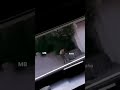 جانب من الاقتتال ومهاجمة البيوت في واقعة جنزور
