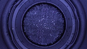 CYMATICS - Trapping bubbles in a closed circuit crystal lattice wave-feild