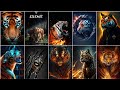 خلفيات نمر   صور صور صور صور نمر  صورة خلفية نمر صورة نمر