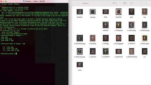 How to remove duplicate images on Mac