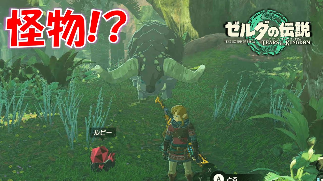 ゼルダの伝説ティアキン】『怪物に乗った姫』攻略。怪物（ドンゴ