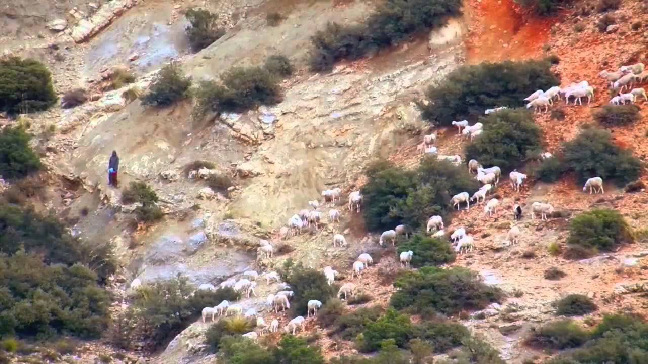 اولاد حناش (تقلعيت) الباهية الشاب نجيب