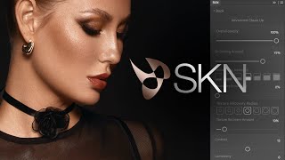 SKN Panel: Clean Up Overview | NBP Retouch Tools screenshot 4