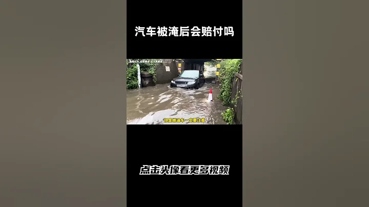 汽車被淹後，保險公司應該如何賠付#汽車 #科普 #car - 天天要聞